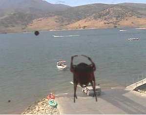 DCmonster2.jpg (77.74 KiB) Viewed 3368 times DCmonster2.jpg