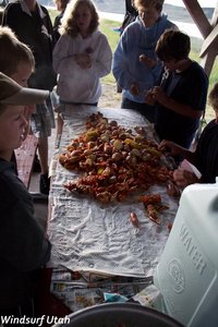 Sulphur Creek August 2011-2.jpg