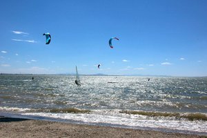 willard low res 2.jpg