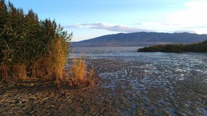 IMAG0555.jpg (499.93 KiB) Viewed 4820 times IMAG0555.jpg