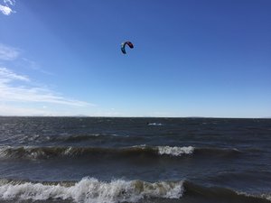 IMG_0476.JPG (1.84 MiB) Viewed 3040 times IMG_0476.JPG