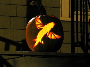 pumpkinfish.jpg