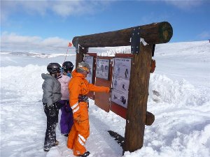 Checking out the new Skyline Kiosk.JPG