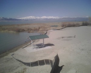 IMG00177.jpg (62.41 KiB) Viewed 2398 times IMG00177.jpg