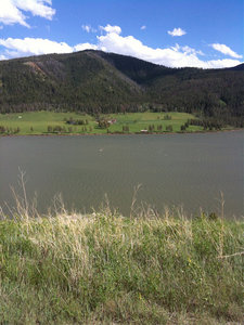 IMG_0784.JPG (267.52 KiB) Viewed 2664 times IMG_0784.JPG