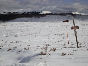 Hills at Strawberry River.jpg