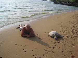 Hawaii iland 3-1-11 001 (Small).jpg