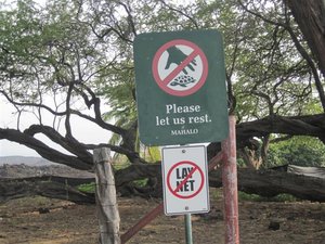 Hawaii iland 3-1-11 009 (Small).jpg