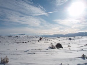 Tree jumping the south bowl.JPG