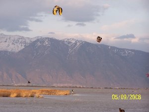 75.jpg (50.72 KiB) Viewed 3755 times 75.jpg