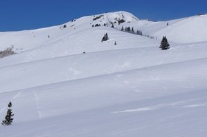 98842.jpg (74.35 KiB) Viewed 3134 times 98842.jpg